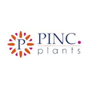 Pinc Plants