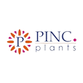 Pinc Plants