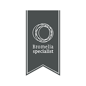 Bromelia specialist