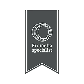 Bromelia specialist